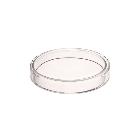 Petridish Glass